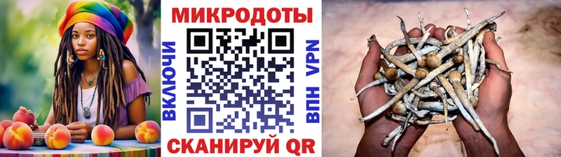 хочу   Зея  Псилоцибиновые грибы Magic Shrooms 
